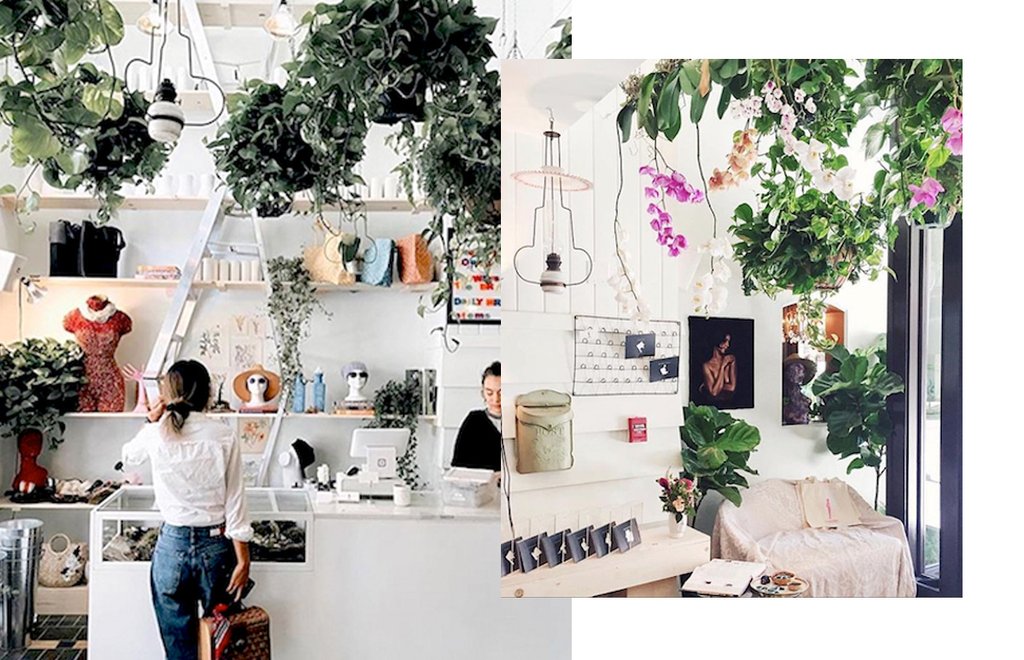 Concept-Stores