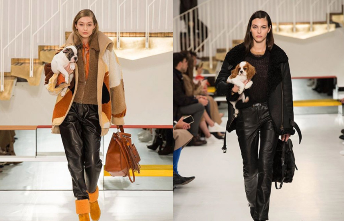 Tod's-Destacada