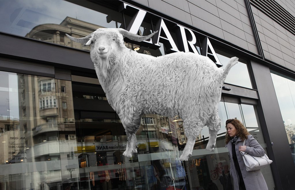 Zara-Cabra