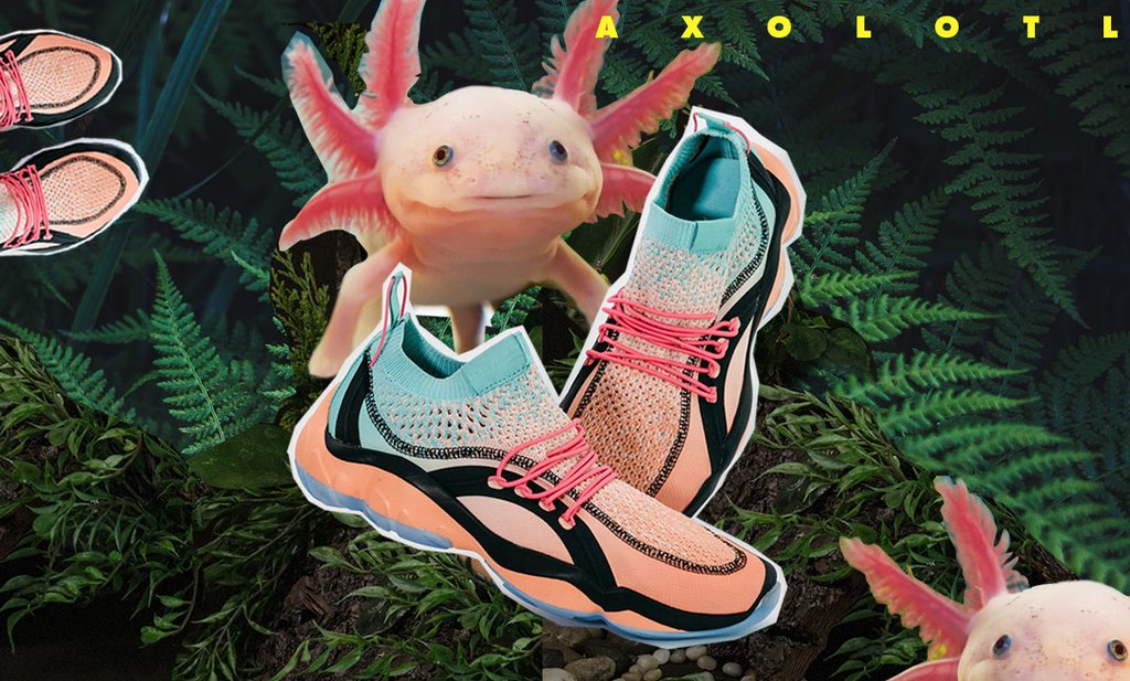 axolotl 2