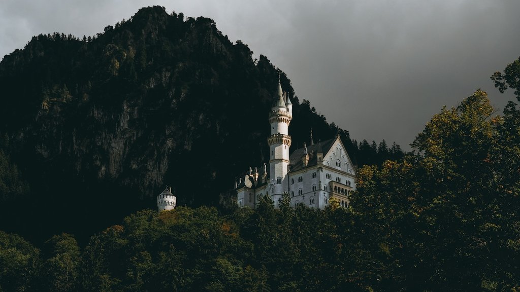 kayle-kaupanger-1079941-unsplash