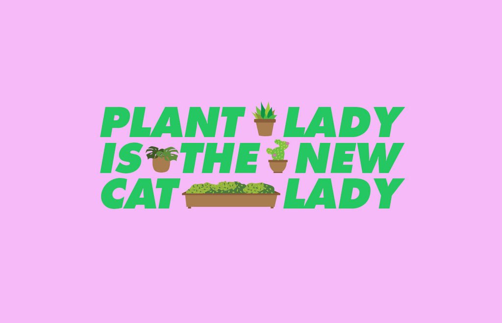 plant-lady-nueva-cat-lady-plantitas