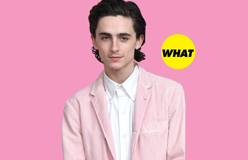 timothee-chalamet-bigote-red-carpet