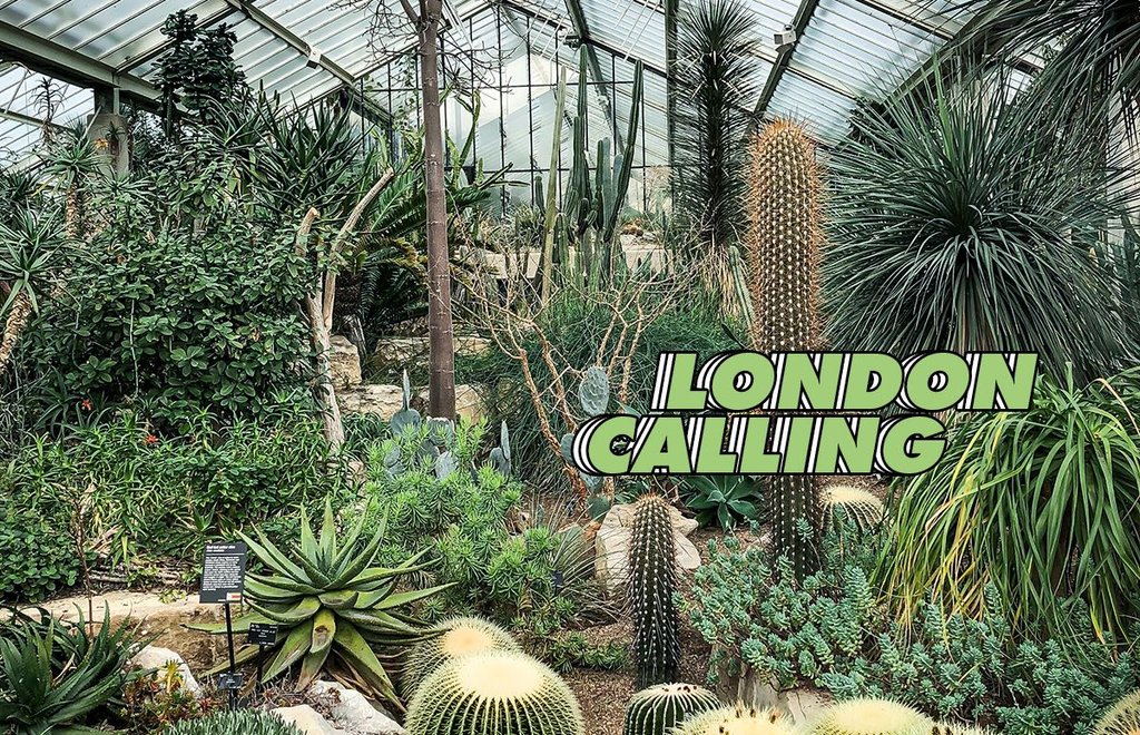 Kew-londres-botanic gardens-jardines-plantas-flores-plan-invernadero