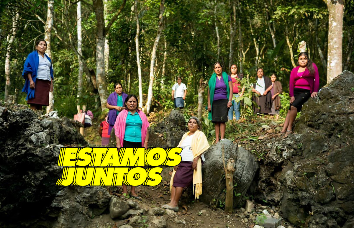 Ikea-comunidades-indigenas