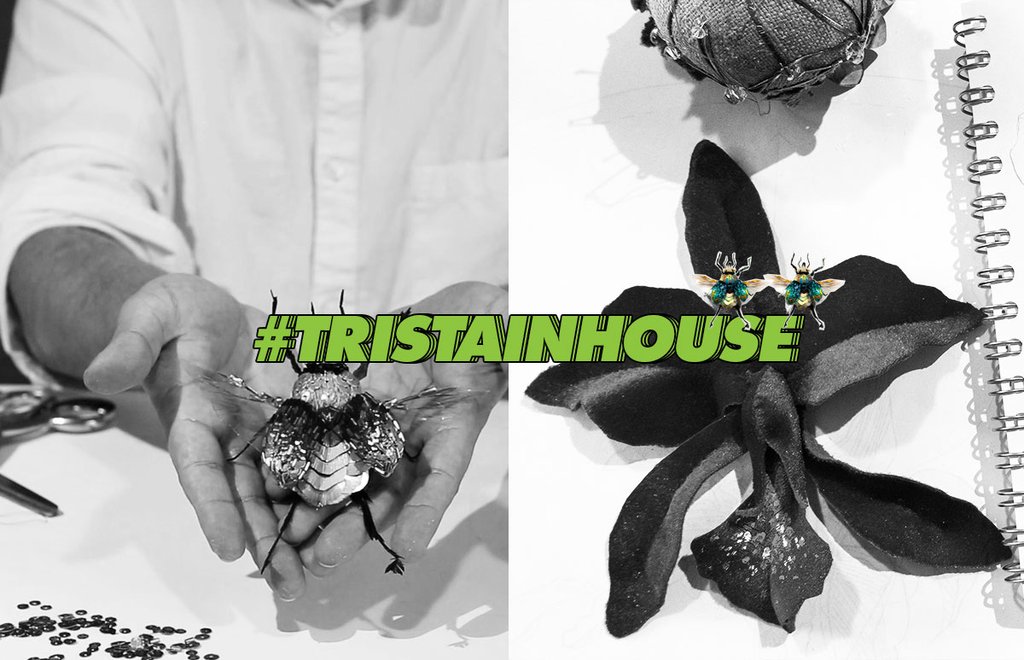 Trista-cursos-en-linea