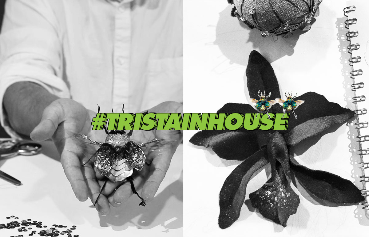 Trista-cursos-en-linea
