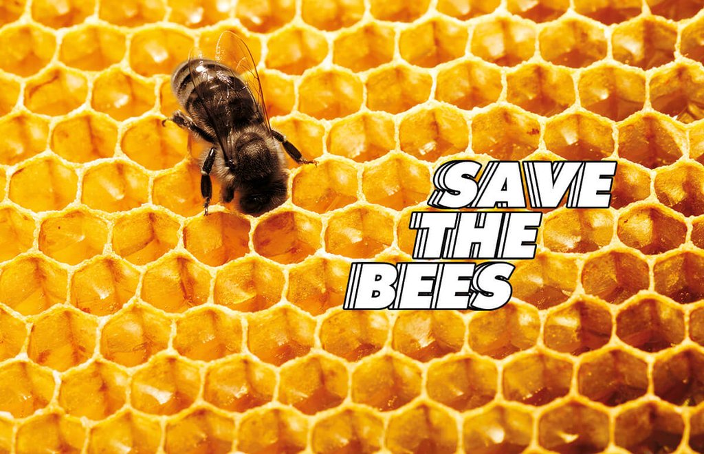 abejas-guerlain-día mundial-miel-skincare-iniciativas-bees copy