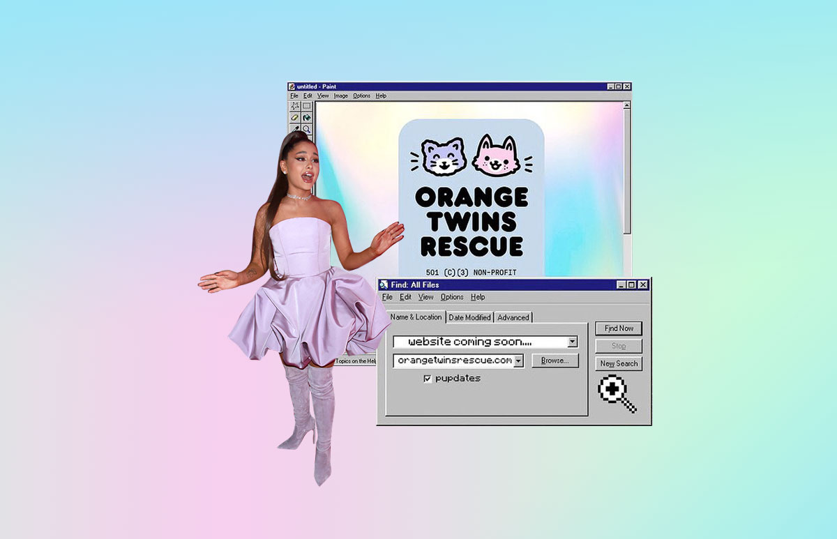 ariana-grande-perros-gatos-recate.jpg