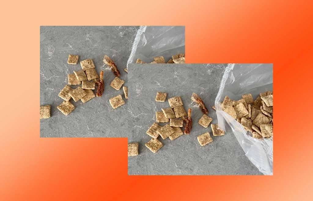 CINNAMON-CEREAL.jpg