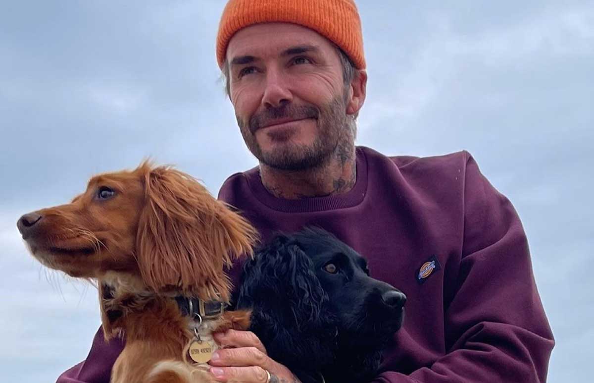davis-beckham-.jpg