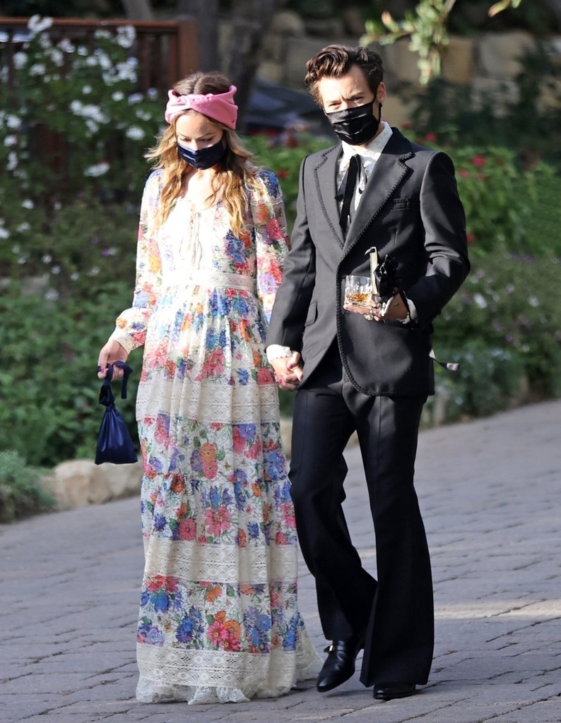 Harry Styles y Olivia Wilde