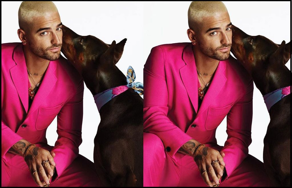 versace maluma perro