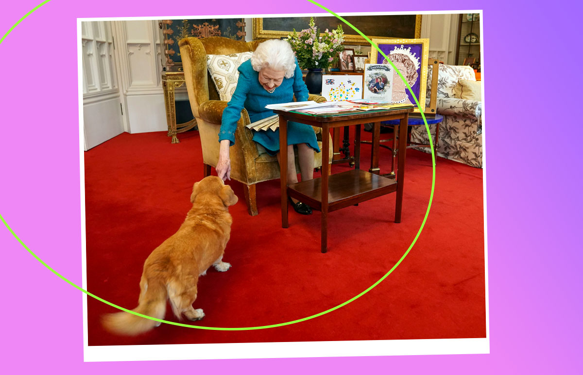 queen-elizabeth-perros.jpg