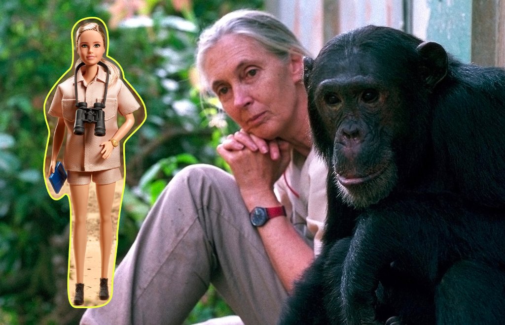 EcoBarbieJaneGoodall_destacada.jpg