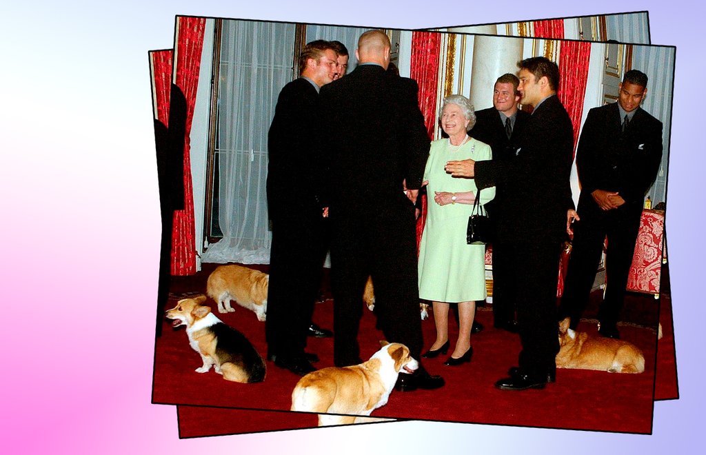 ELIZABETH-DOGS.jpg