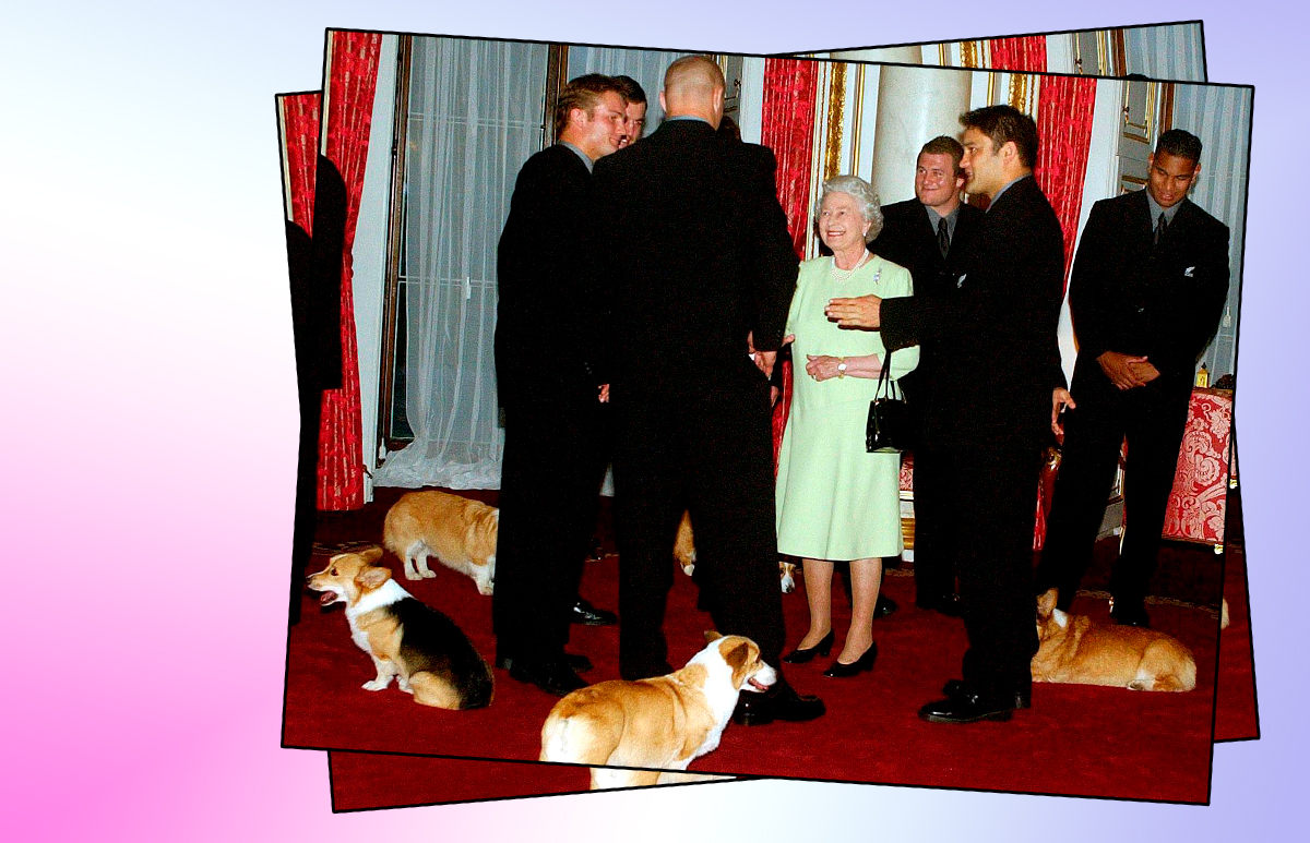 ELIZABETH-DOGS.jpg