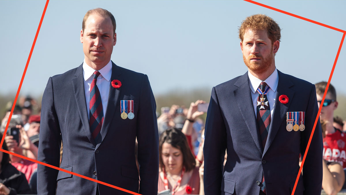 Príncipes harry y william