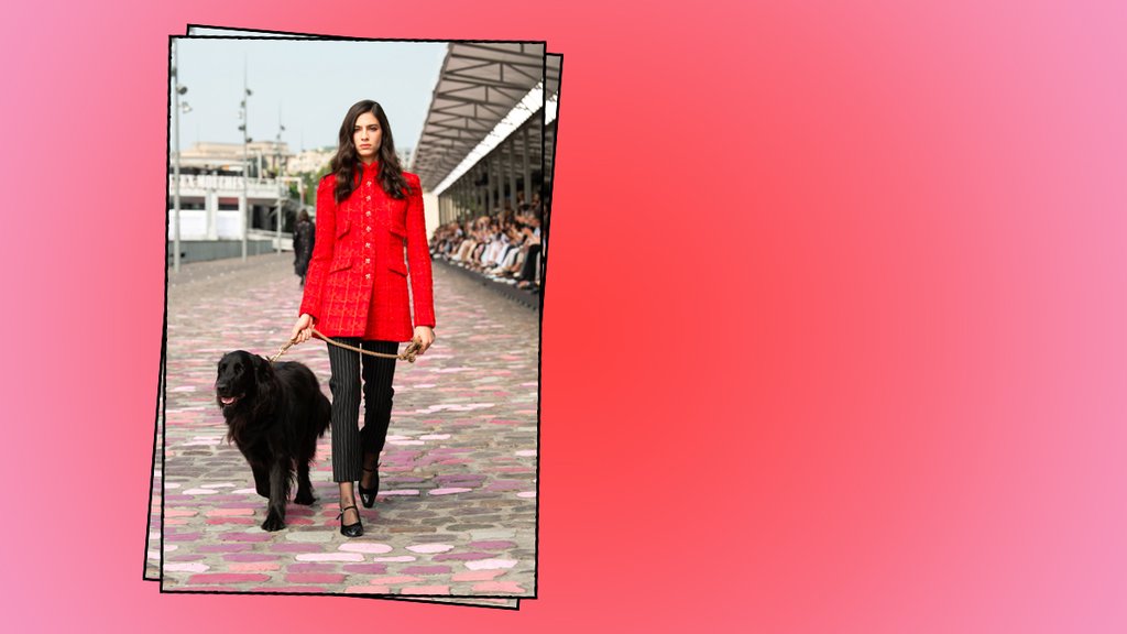 El perrito que se robó la atención en el desfile de Chanel.