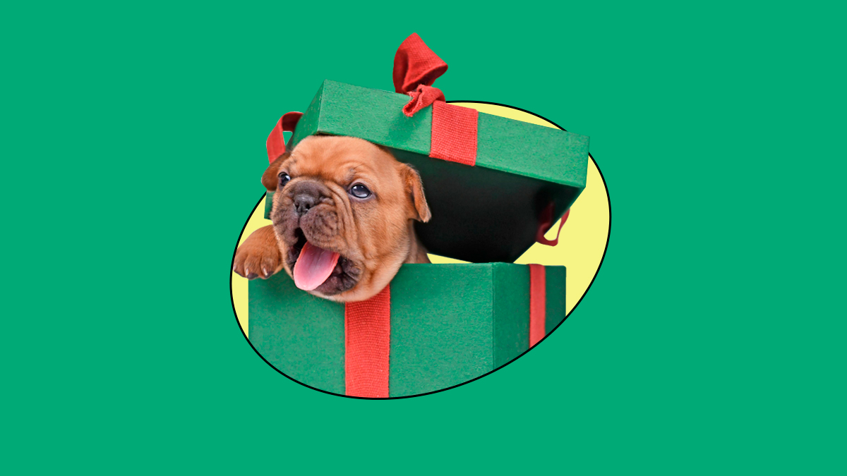 GUÍA-DE-REGALOS.jpg