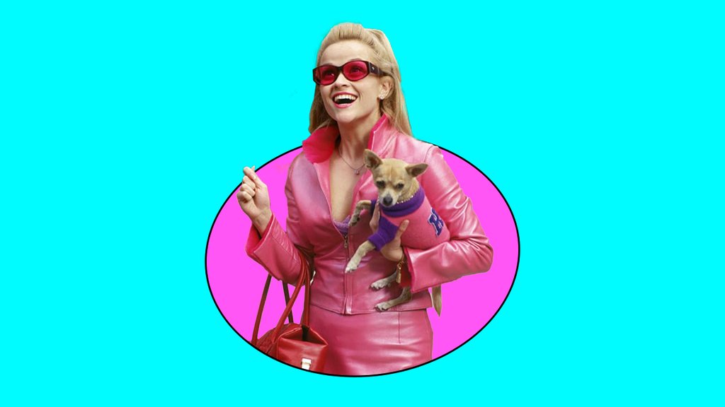 LEGALLY-BLONDE-SERIE-AMAZON-PRIME-VIDEO.jpg