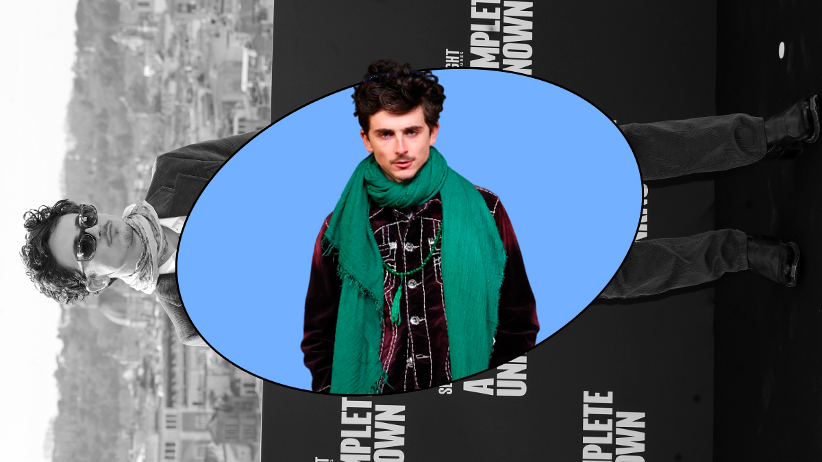 timothee chalamet bufandas