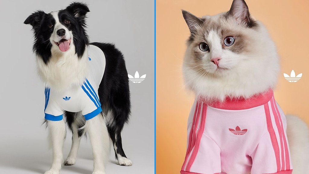 adidas-ropa-perrito