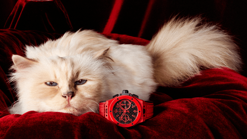 choupette hublot