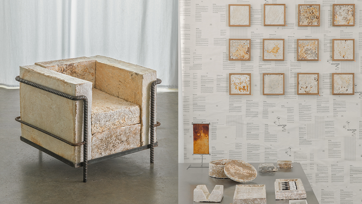 monterr-diseño-muebles-hongos